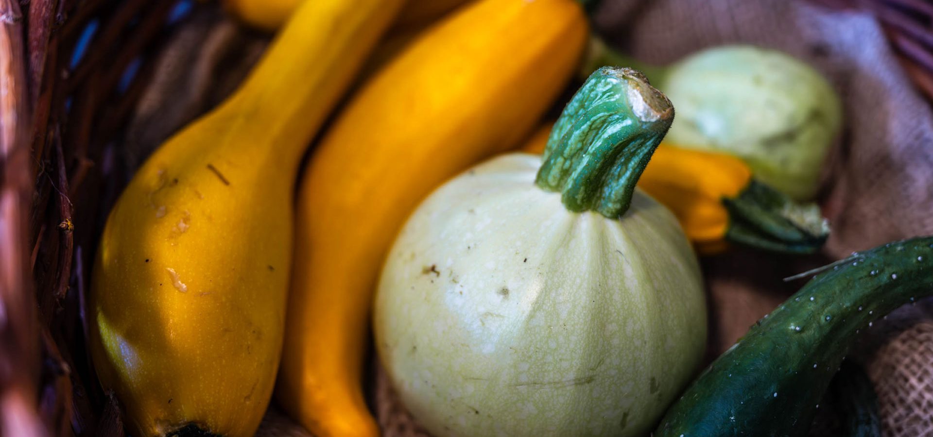 herbsturlaub kronlechnerhof welschnofen eggental suedtirol (9)