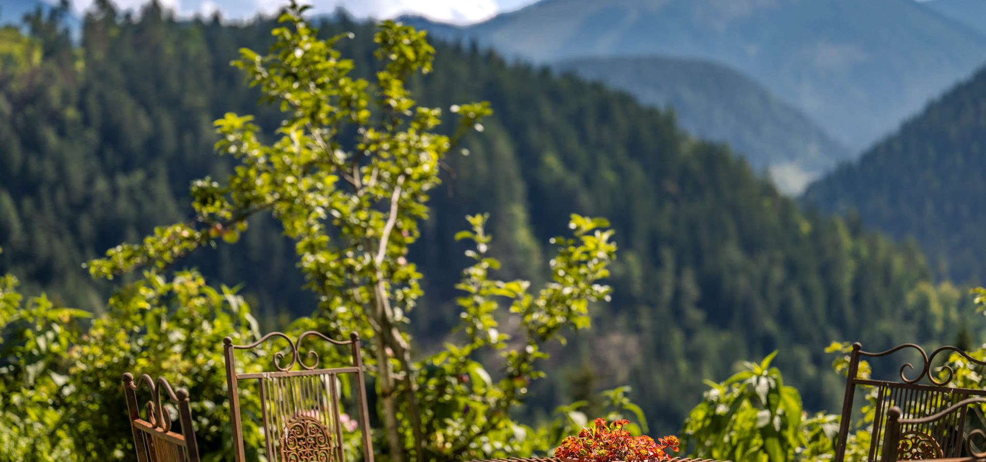kronlechnerhof urlaub am bauernhof welschnofen suedtirol (2)