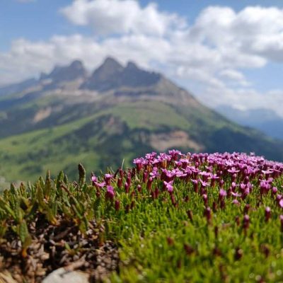 kronlechnerhof welschnofen eggental suedtirol (20)