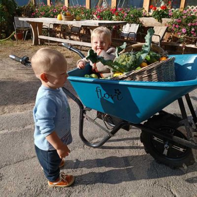 kronlechnerhof welschnofen eggental suedtirol (21)
