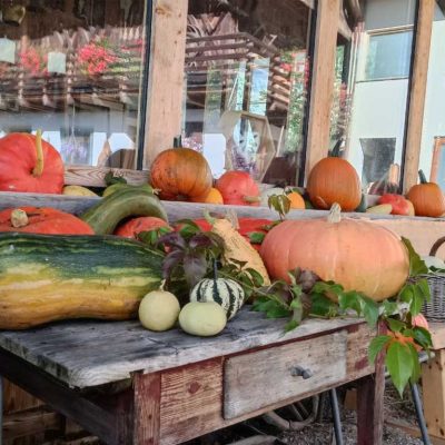kronlechnerhof welschnofen eggental suedtirol (23)