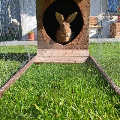 kronlechnerhof welschnofen eggental suedtirol (24)