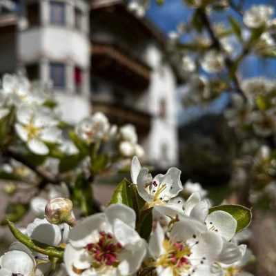 kronlechnerhof welschnofen eggental suedtirol (4)