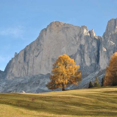 kronlechnerhof welschnofen eggental suedtirol (6)