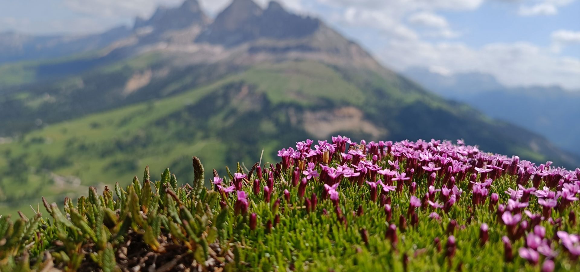 urlaub im fruehling eggental welschnofen suedtirol (3)