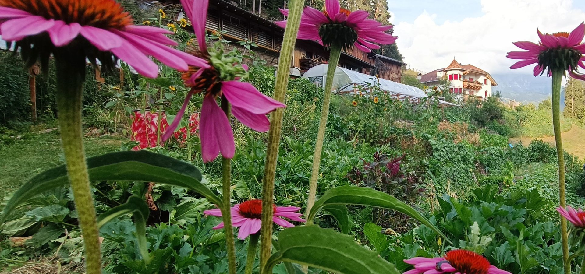 urlaub im fruehling eggental welschnofen suedtirol (4)