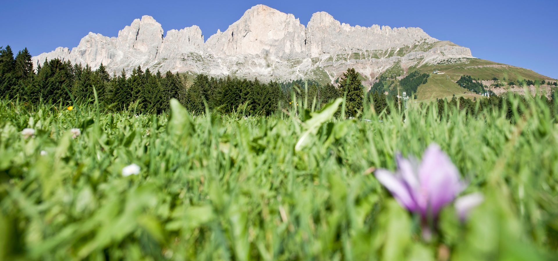 urlaub im fruehling eggental welschnofen suedtirol (6)